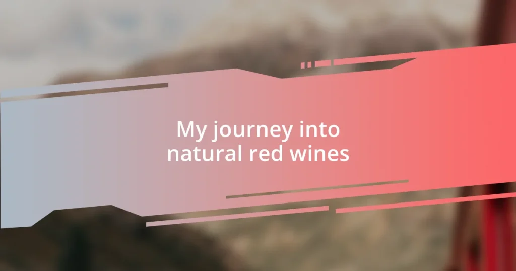 My journey into natural red wines